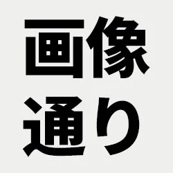 画像と同じ