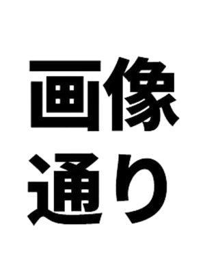 画像と同じ